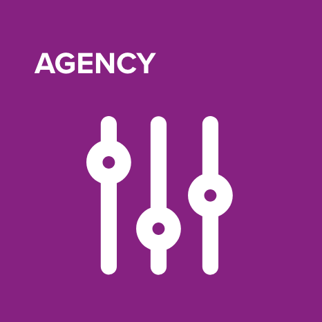 Agency icon